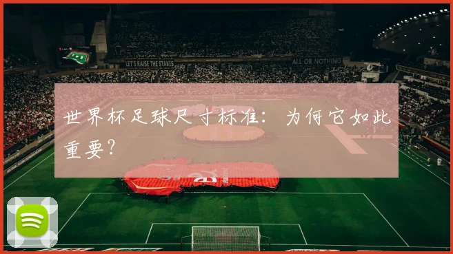 世界杯足球尺寸标准：为何它如此重要？
