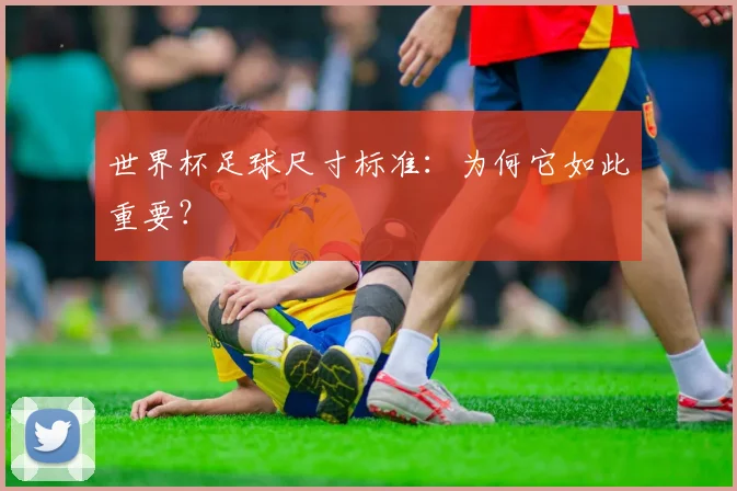 世界杯足球尺寸标准：为何它如此重要？