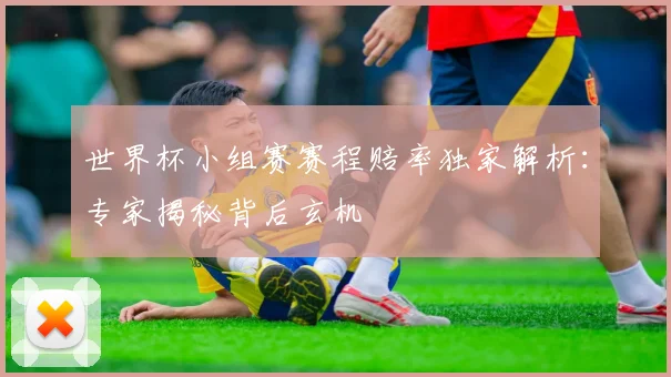 世界杯小组赛赛程赔率独家解析：专家揭秘背后玄机