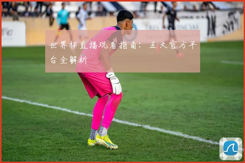 世界杯直播观看指南：五大官方平台全解析